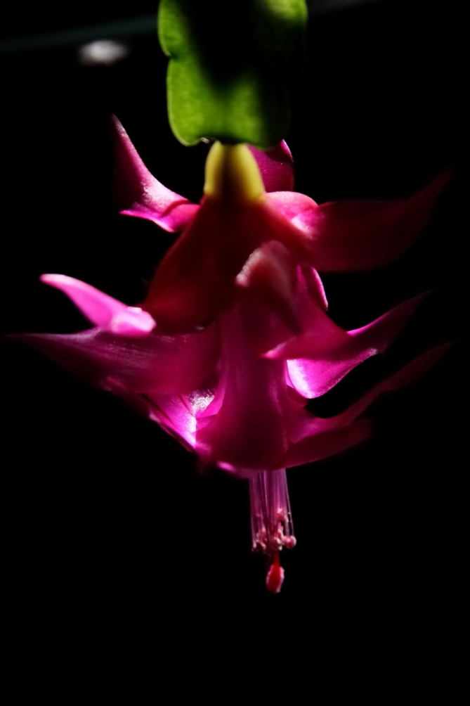 2012 02 10 6422e